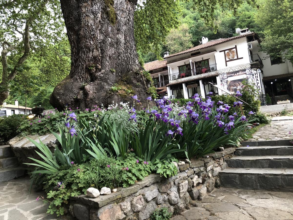 Chavkova House Melnik (Blagoevgrad) Dış mekan fotoğraf
